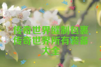 传奇世界缝制包裹传奇世界所有装备大全