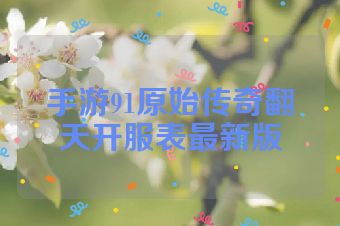 手游91原始传奇翻天开服表最新版