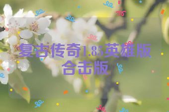 复古传奇1.85英雄版合击版