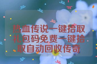 热血传说一键拾取礼包码免费一键拾取自动回收传奇