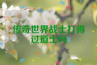 传奇世界战士打得过道士吗