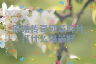 原始传奇勋章碎片打什么爆最好