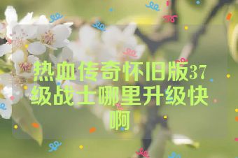 热血传奇怀旧版37级战士哪里升级快啊