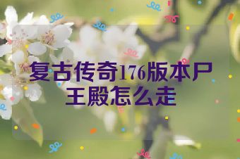 复古传奇176版本尸王殿怎么走