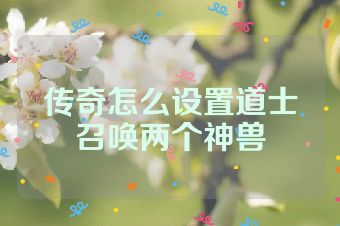 传奇怎么设置道士召唤两个神兽