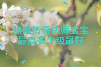 热血传奇法师宝宝最高多少级最好