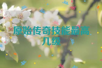 原始传奇技能最高几级