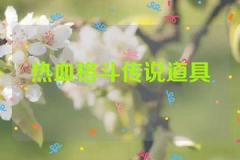 热血格斗传说道具