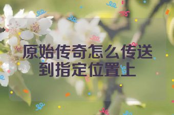 原始传奇怎么传送到指定位置上