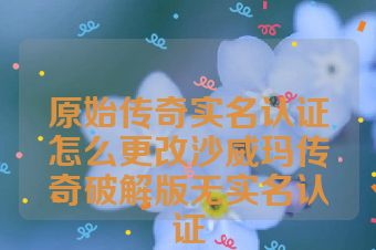 原始传奇实名认证怎么更改沙威玛传奇破解版无实名认证