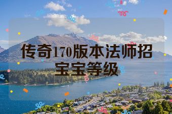传奇170版本法师招宝宝等级