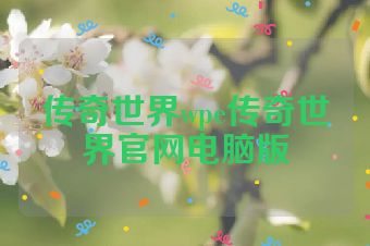 传奇世界wpe传奇世界官网电脑版