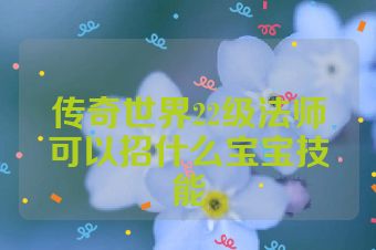 传奇世界22级法师可以招什么宝宝技能