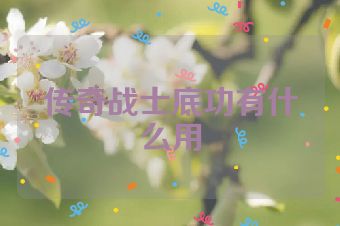 传奇战士底功有什么用