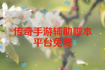 传奇手游辅助脚本平台免费