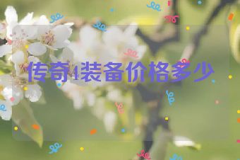 传奇4装备价格多少