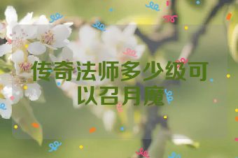 传奇法师多少级可以召月魔