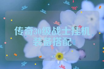 传奇30级战士挂机装备搭配