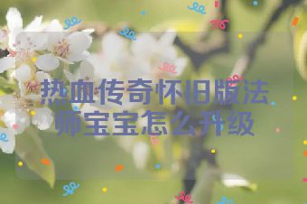 热血传奇怀旧版法师宝宝怎么升级