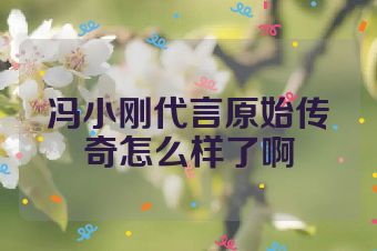 冯小刚代言原始传奇怎么样了啊