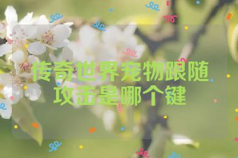 传奇世界宠物跟随攻击是哪个键