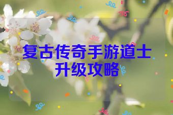 复古传奇手游道士升级攻略