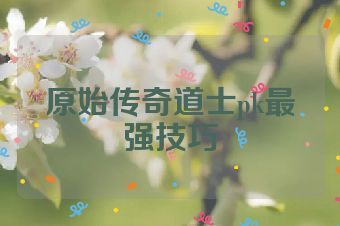 原始传奇道士pk最强技巧