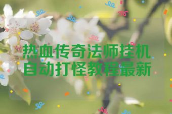 热血传奇法师挂机自动打怪教程最新