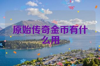 原始传奇金币有什么用