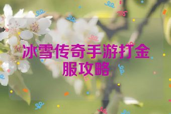 冰雪传奇手游打金服攻略