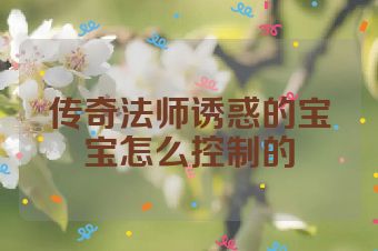 传奇法师诱惑的宝宝怎么控制的
