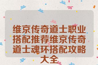 维京传奇道士职业搭配推荐维京传奇道士魂环搭配攻略大全