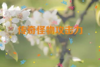 传奇怪物攻击力