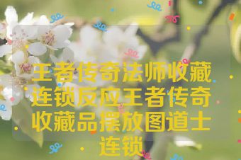 王者传奇法师收藏连锁反应王者传奇收藏品摆放图道士连锁