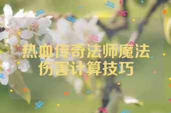 热血传奇法师魔法伤害计算技巧