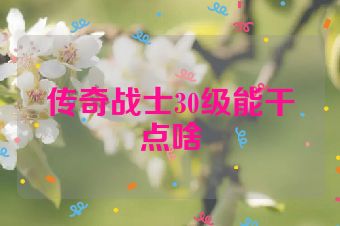 传奇战士30级能干点啥