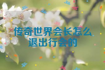 传奇世界会长怎么退出行会的