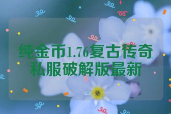 纯金币1.76复古传奇私服破解版最新