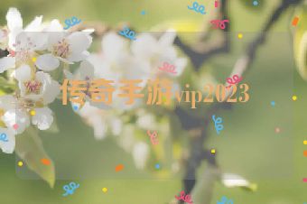 传奇手游vip2023