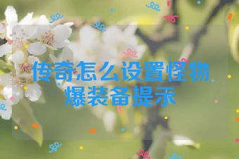 传奇怎么设置怪物爆装备提示