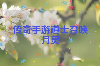 传奇手游道士召唤月灵