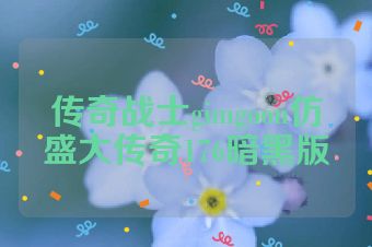 传奇战士gimgoon仿盛大传奇176暗黑版