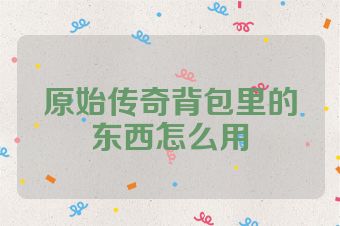 原始传奇背包里的东西怎么用