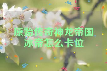 原始传奇神龙帝国冰帝怎么卡位