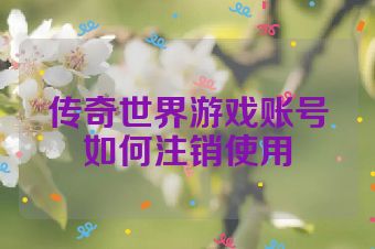 传奇世界游戏账号如何注销使用