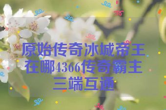 原始传奇冰城帝王在哪4366传奇霸主三端互通