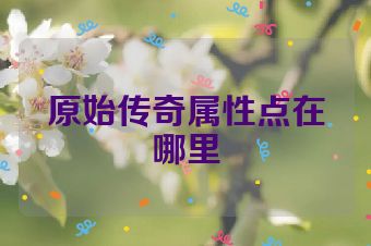 原始传奇属性点在哪里