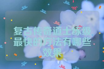 复古传奇道士练级最快的方法有哪些效果
