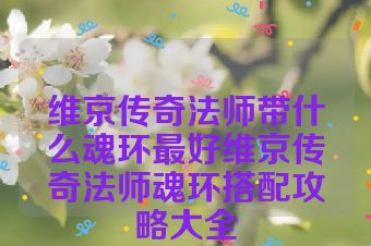 维京传奇法师带什么魂环最好维京传奇法师魂环搭配攻略大全