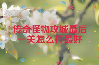 传奇怪物攻城最后一关怎么打最好